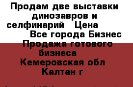 Продам две выставки динозавров и селфинарий › Цена ­ 7 000 000 - Все города Бизнес » Продажа готового бизнеса   . Кемеровская обл.,Калтан г.